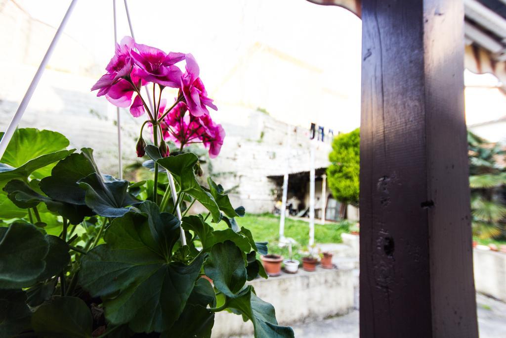 Guesthouse Natalija بولا المظهر الخارجي الصورة
